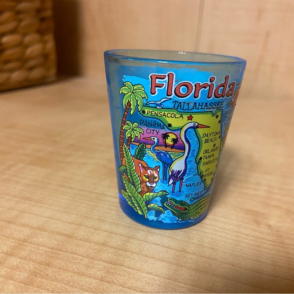 Florida Shot Glass
